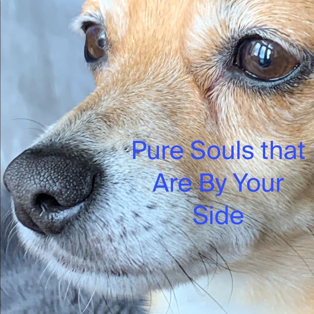 Daily Inspiration